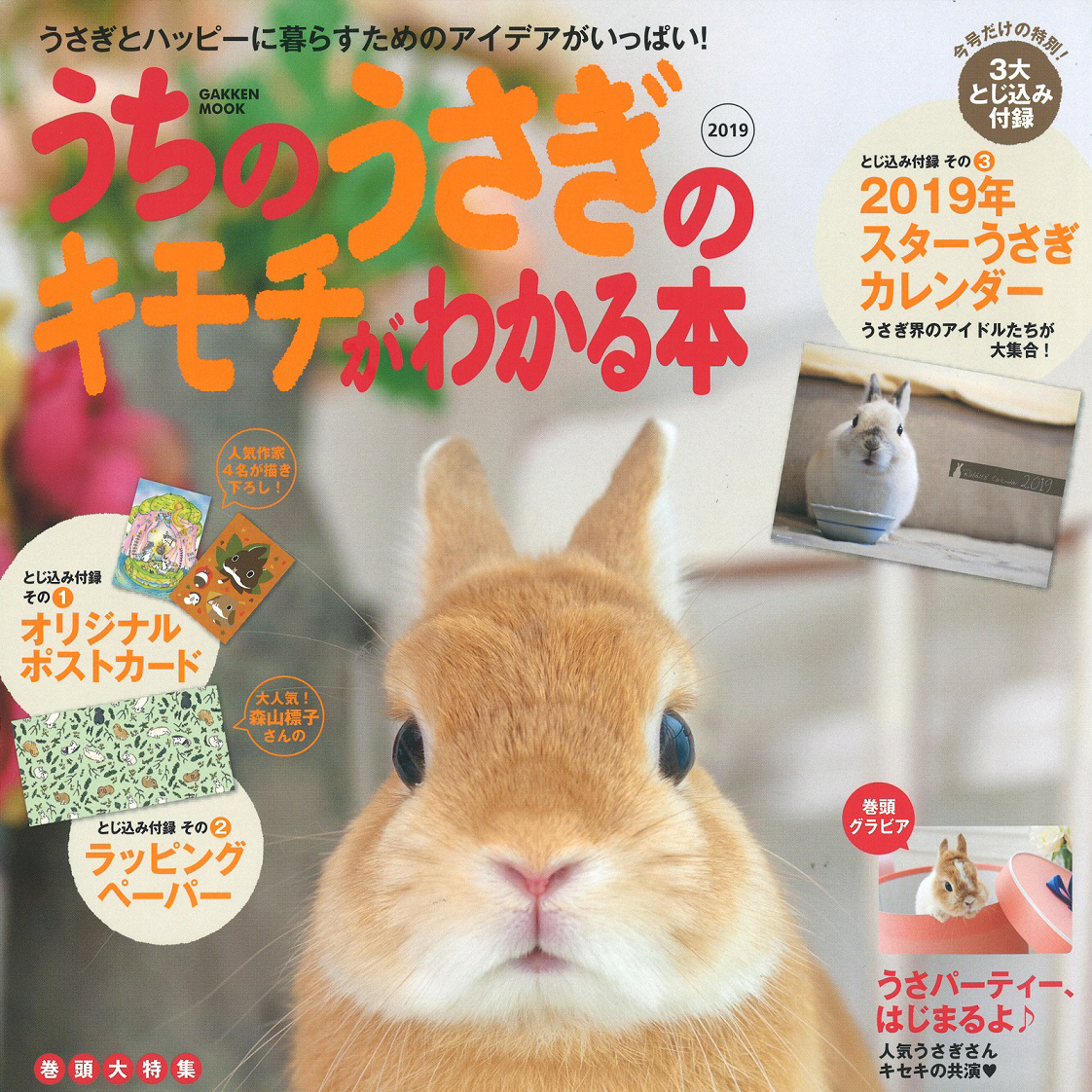 みんなが知りたい