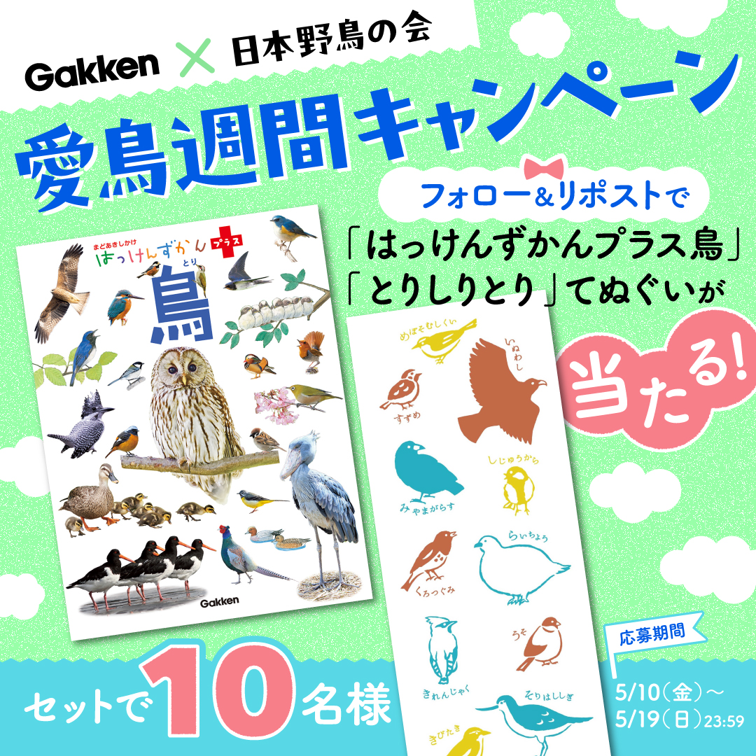 学研×日本野鳥の会】愛鳥週間に野鳥はっけん! 図鑑とグッズがセットで当たるキャンペーンを開催 | （株）Gakken公式ブログ