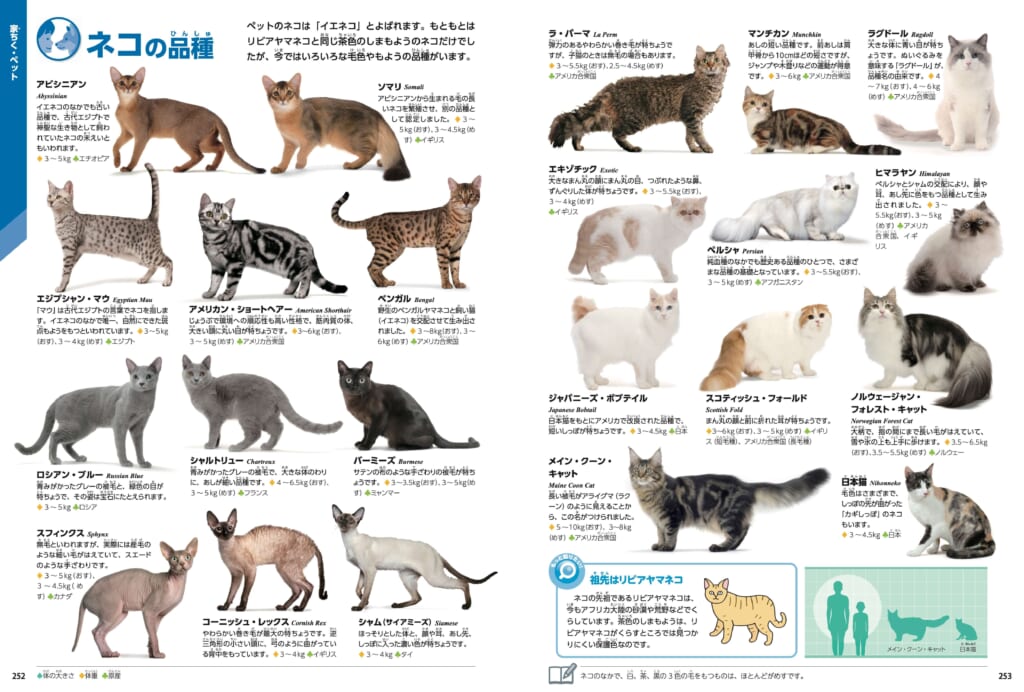 収録数No.1！約840種掲載『学研の図鑑LIVE 動物 新版』が発売! | （株）Gakken公式ブログ