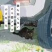 読書感想文にぴったり『誰も知らない　のら猫クロの小さな一生』好評発売中