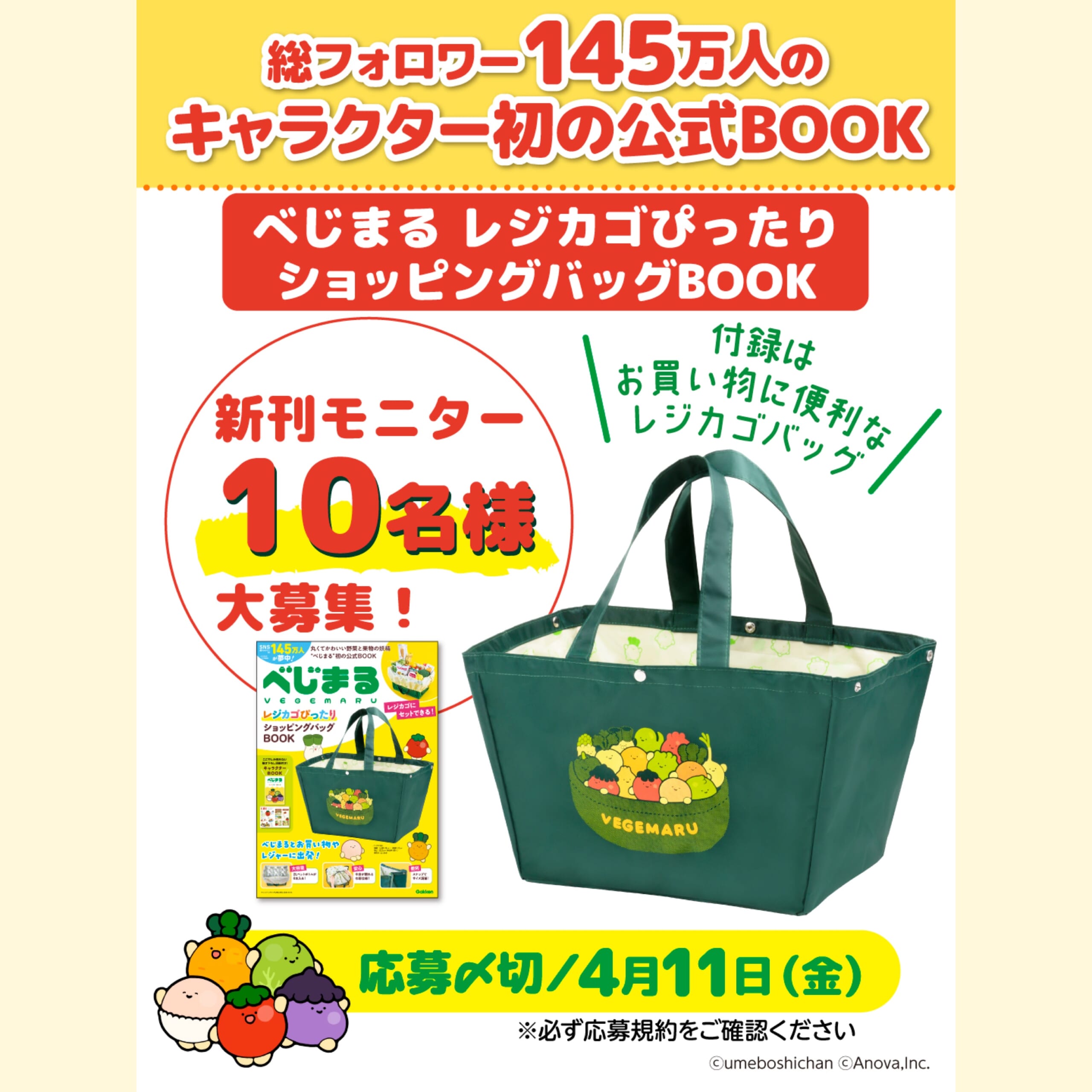 SNSで話題沸騰！】『べじまる レジカゴぴったりショッピングバッグBOOK