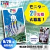 学研の図鑑LIVEポケット新版『魚』『岩石・鉱物・化石』モニター計40名様募集!〆2025/6/8(日)
