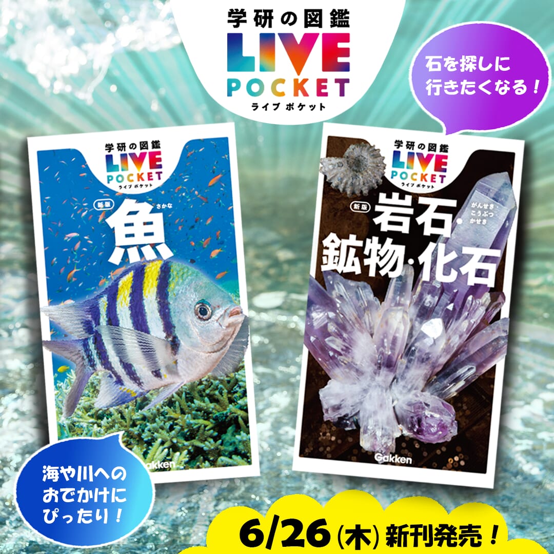 楽天市場】学研の図鑑LIVE POCKET 第2期 5巻セット【3000円以上