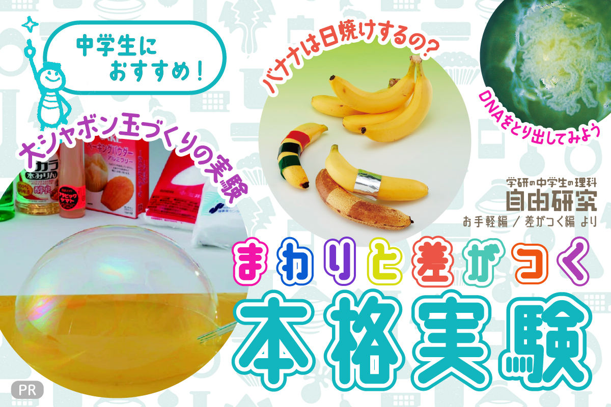 もうすぐ夏休み！ 中学生にピッタリな自由研究テーマを大公開！ | （株