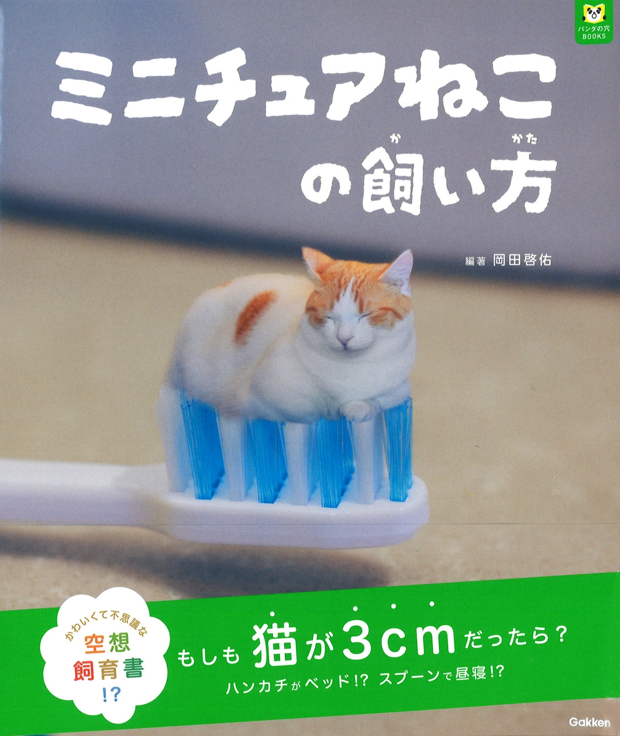 ガチャでも人気のちっちゃな猫！】『ミニチュアねこの飼い方』発売 