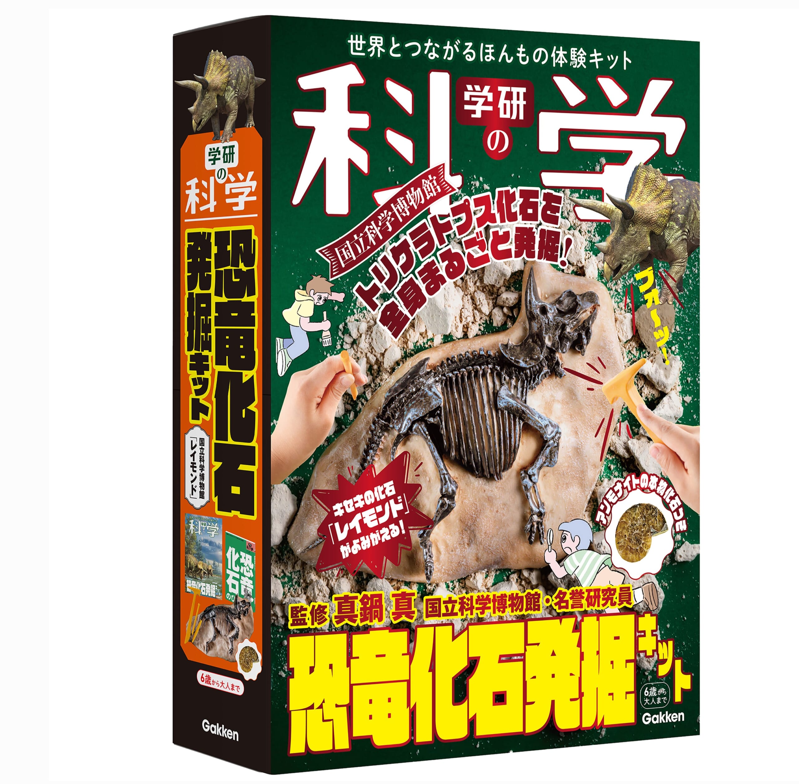 新発売！ 国立科学博物館のキセキの化石「レイモンド」を発掘しよう