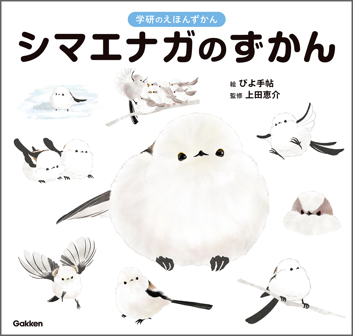 1冊まるごとシマエナガ！ 可愛すぎる『シマエナガのずかん』予約受付中