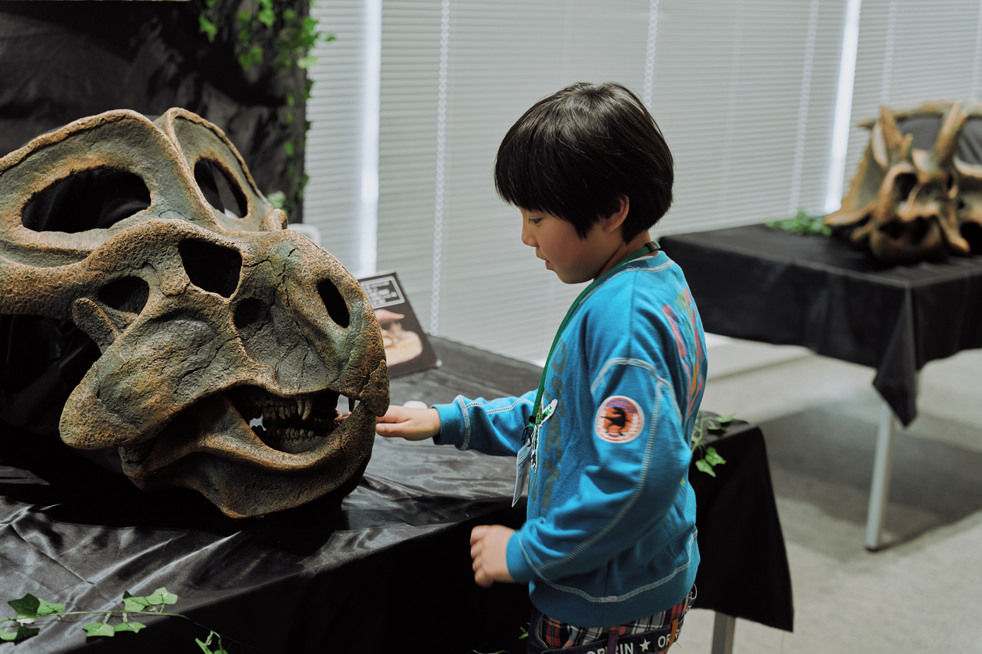 本物の恐竜化石に大興奮】学研の科学 あそぶんだ研究所「ぶんだ祭2025