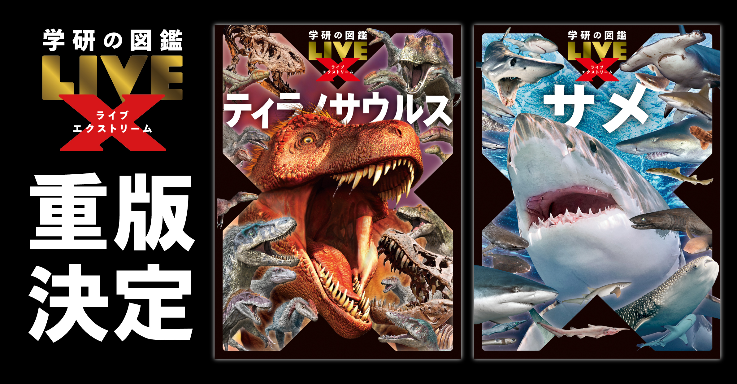 学研の図鑑LIVEエクストリーム ティラノサウルス』『サメ』約1か月で 学研の図鑑LIVEエクストリーム ティラノサウルス』『サメ』約1か月で