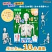 【モニター10名様募集！】パズル感覚で体のつくりがわかる✨『1/6サイズ 人体骨格模型組み立てキット』　～4/22(水)〆切
