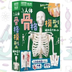 つくって・はって・動かして 体のしくみが楽しくわかる本格キットが発売！