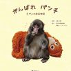 ぬいぐるみが母親代わりの子ザル・パンチくんの書籍が発売決定、予約開始